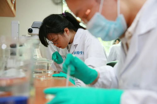 杭州環特生物科技股份 技術咨詢助力生物科技發展