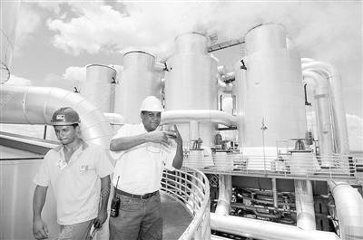 巴西優(yōu)先發(fā)展生物燃料 經(jīng)濟困境中的綠色突圍之路